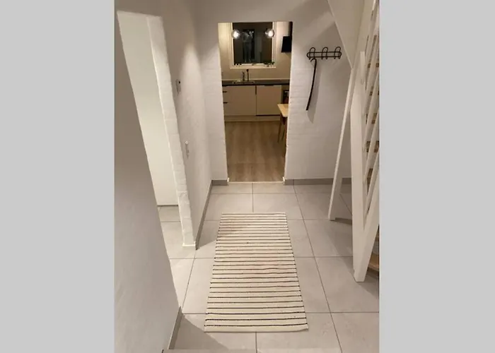 Central Kaelder Lejlighed